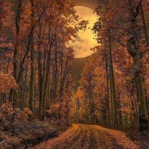 Meet your Posher, Joyce